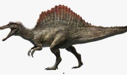 最新爆料异特龙图片视频,高清图片视频揭秘史前巨兽真容